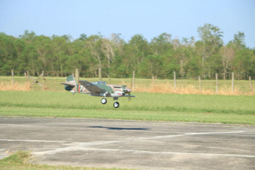 IMG 4546